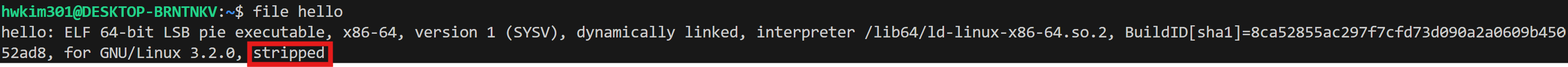 hello_strip